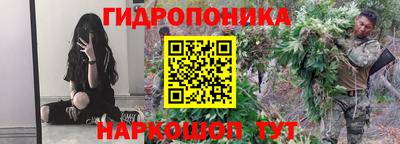 a pvp Ставрополь