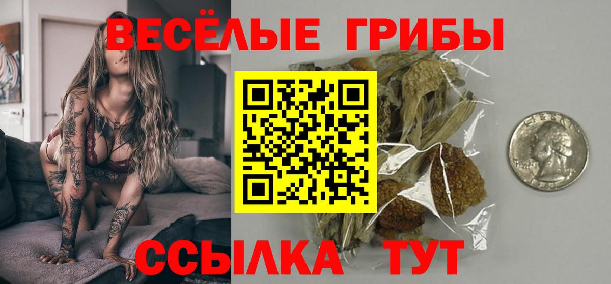Псилоцибиновые грибы Cubensis Новый Уренгой